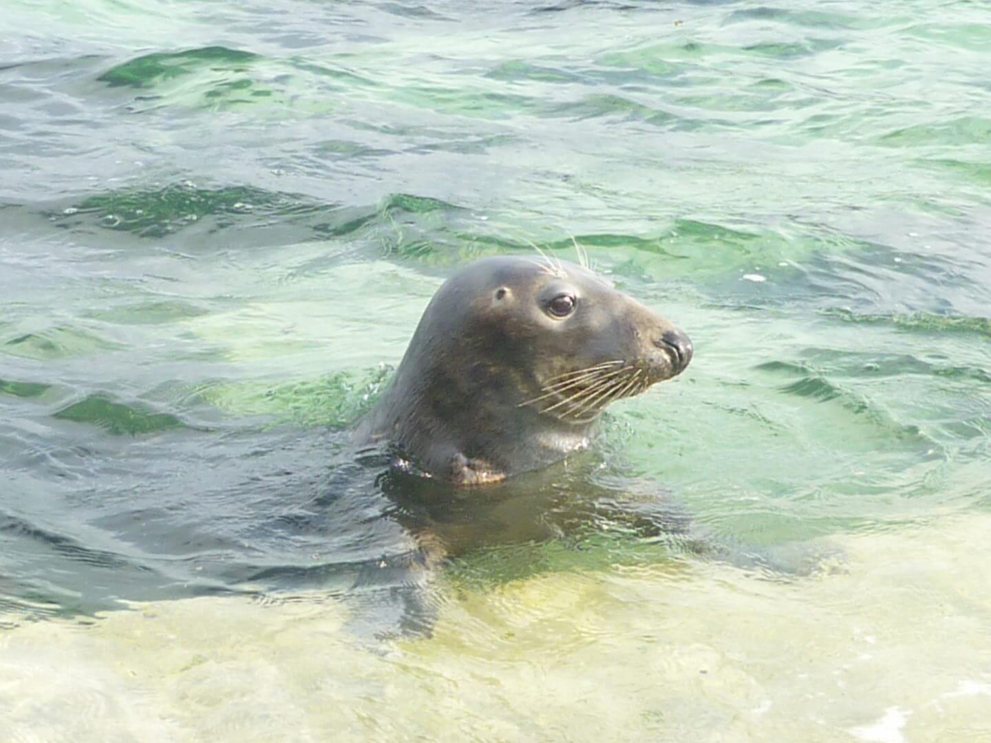 Falmouth Backpackers