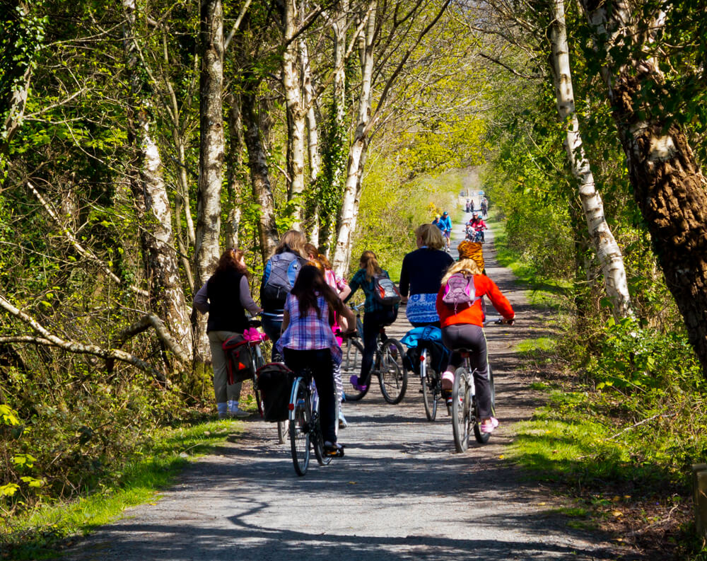 mawddach cycle trail