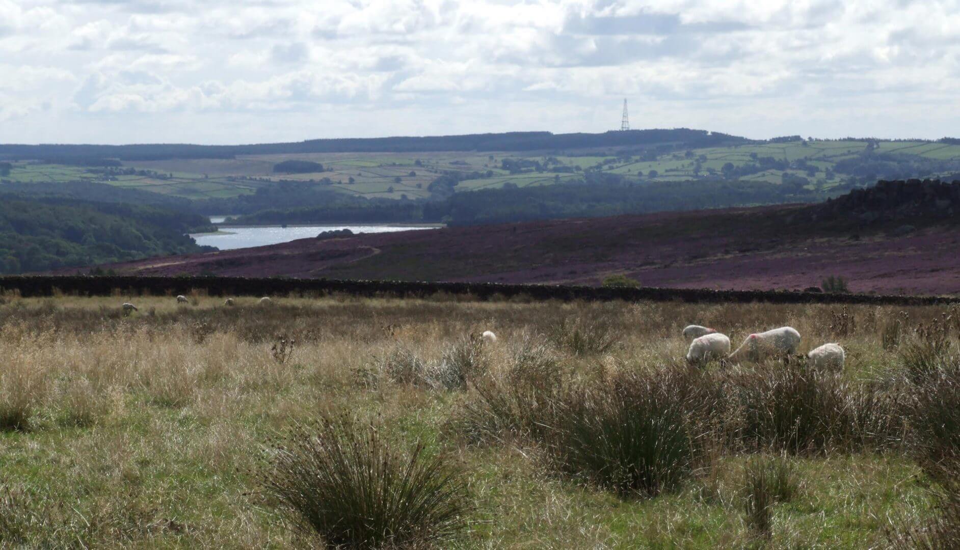 west end outdoor centre and the six dales way