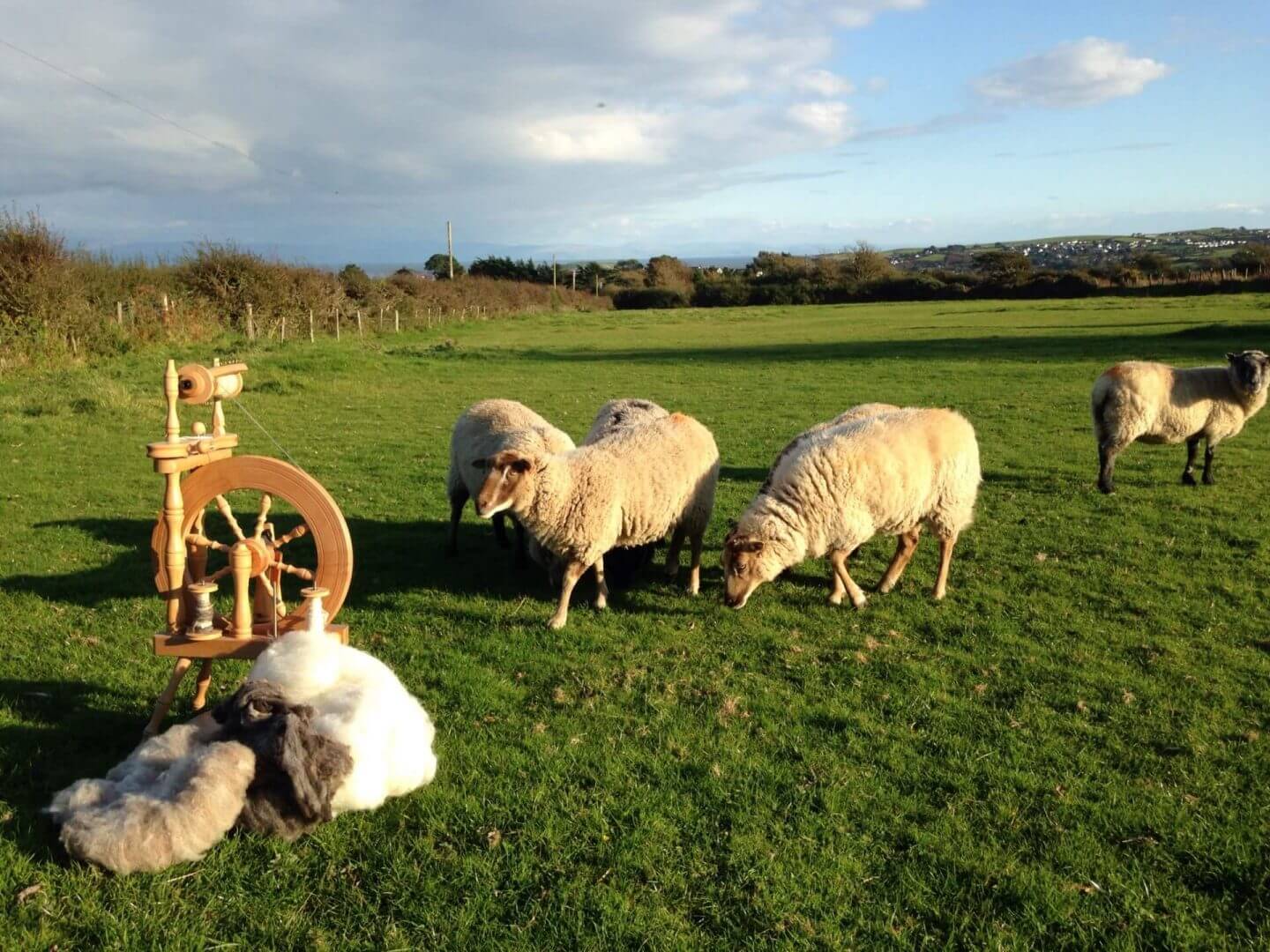 spinning courses at Tanrallt Farm