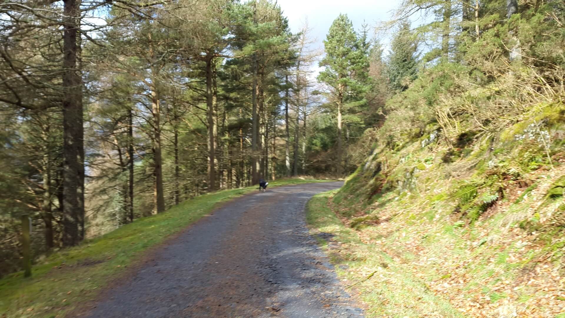 Campbell Room quantocks
