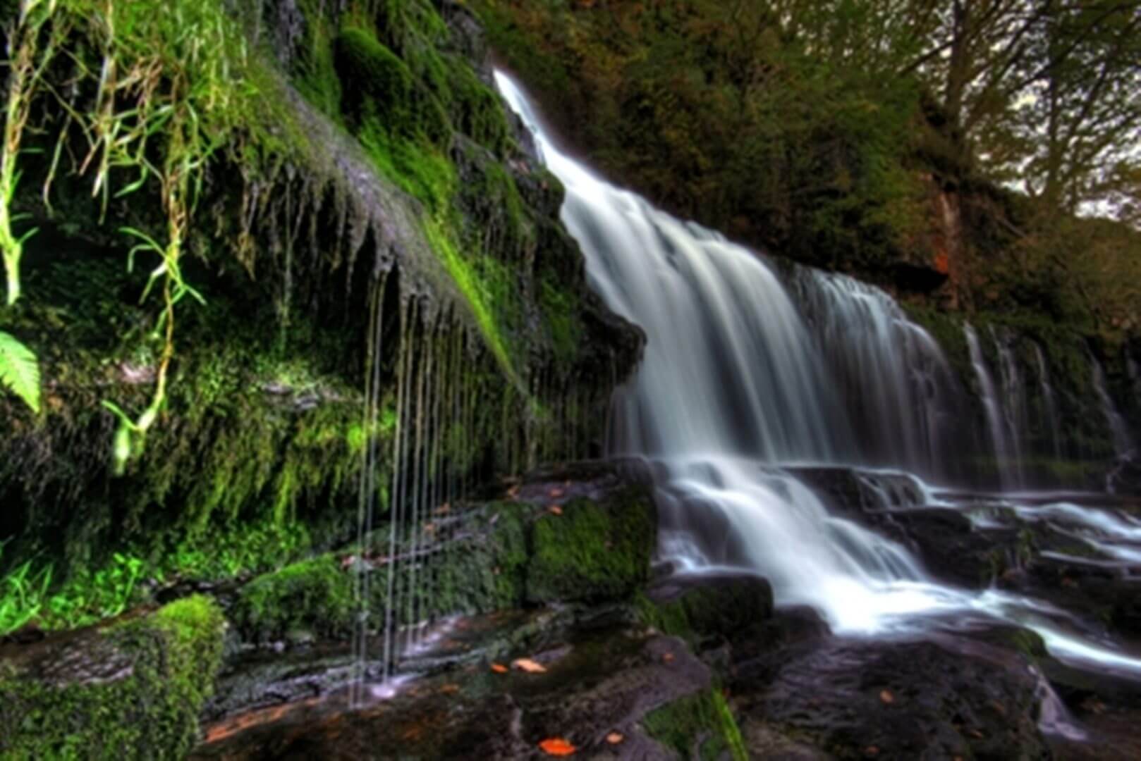 CLYNGWYN Farm and Falls