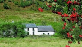 Dolgoch youth hostel