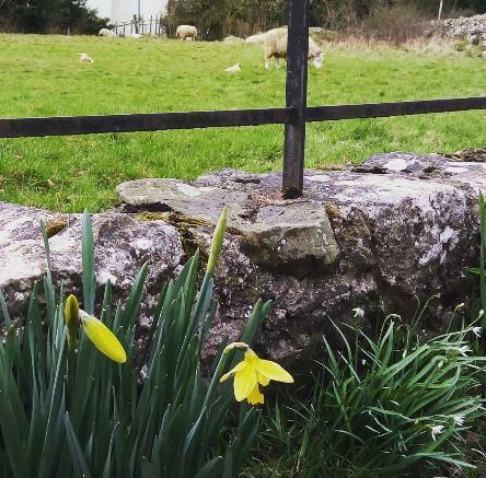 Arnside Independent Hostel