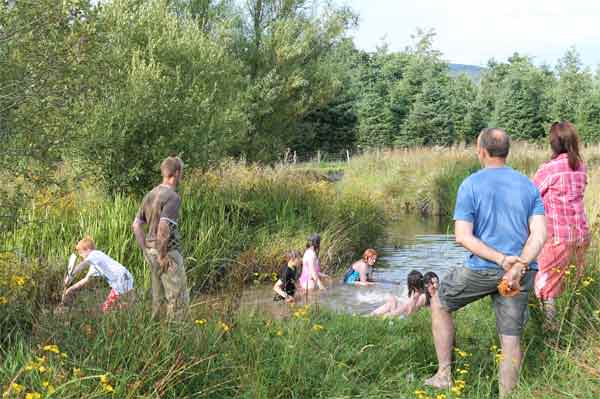 mid wales bunkhouse