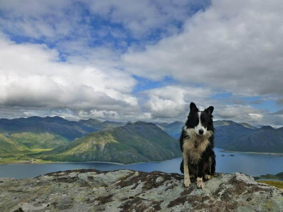 knoydart dog friendly
