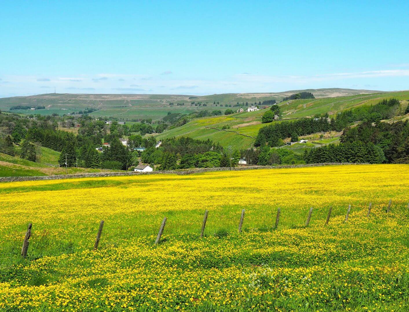 Alston moor near YHA Alston Hostel