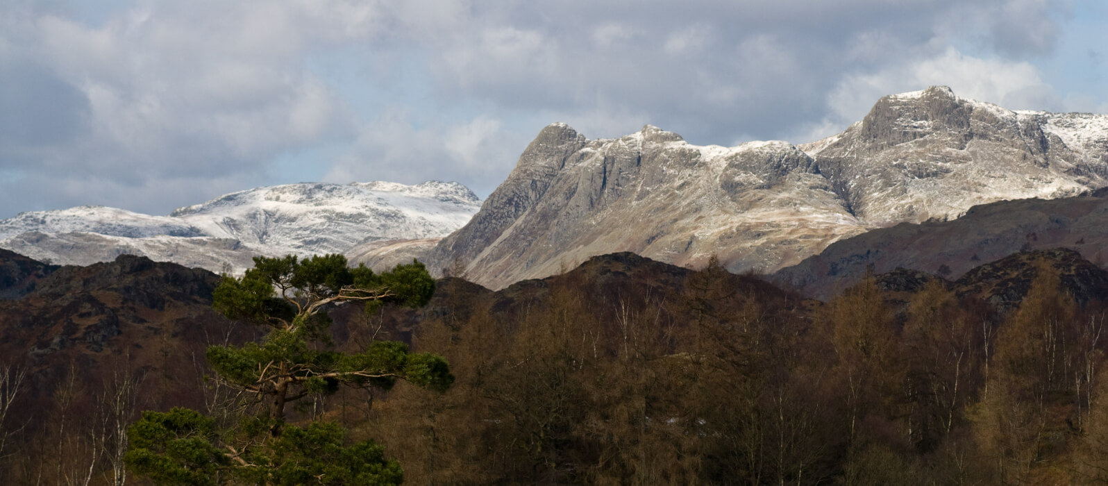 From Tarn Hows - Dave Willis