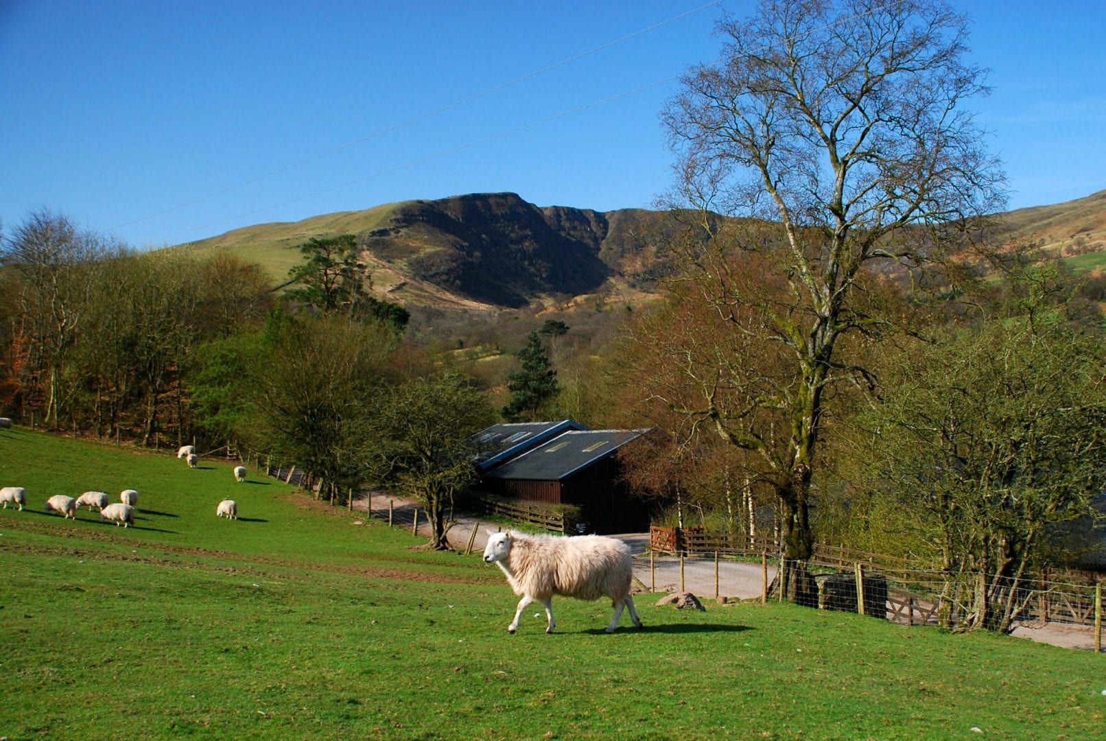 Dan Y Gyrn Bunkhouse