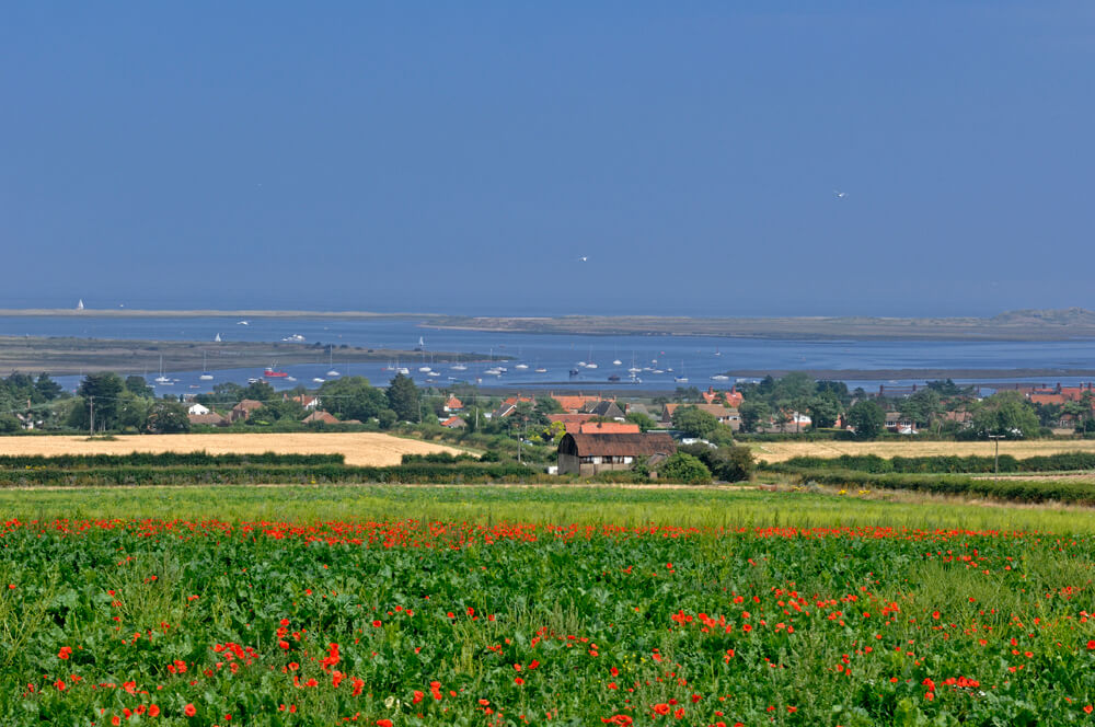Deepdale Backpackers - live music - Area Of Outstanding Natural Beauty - Norfolk Coast