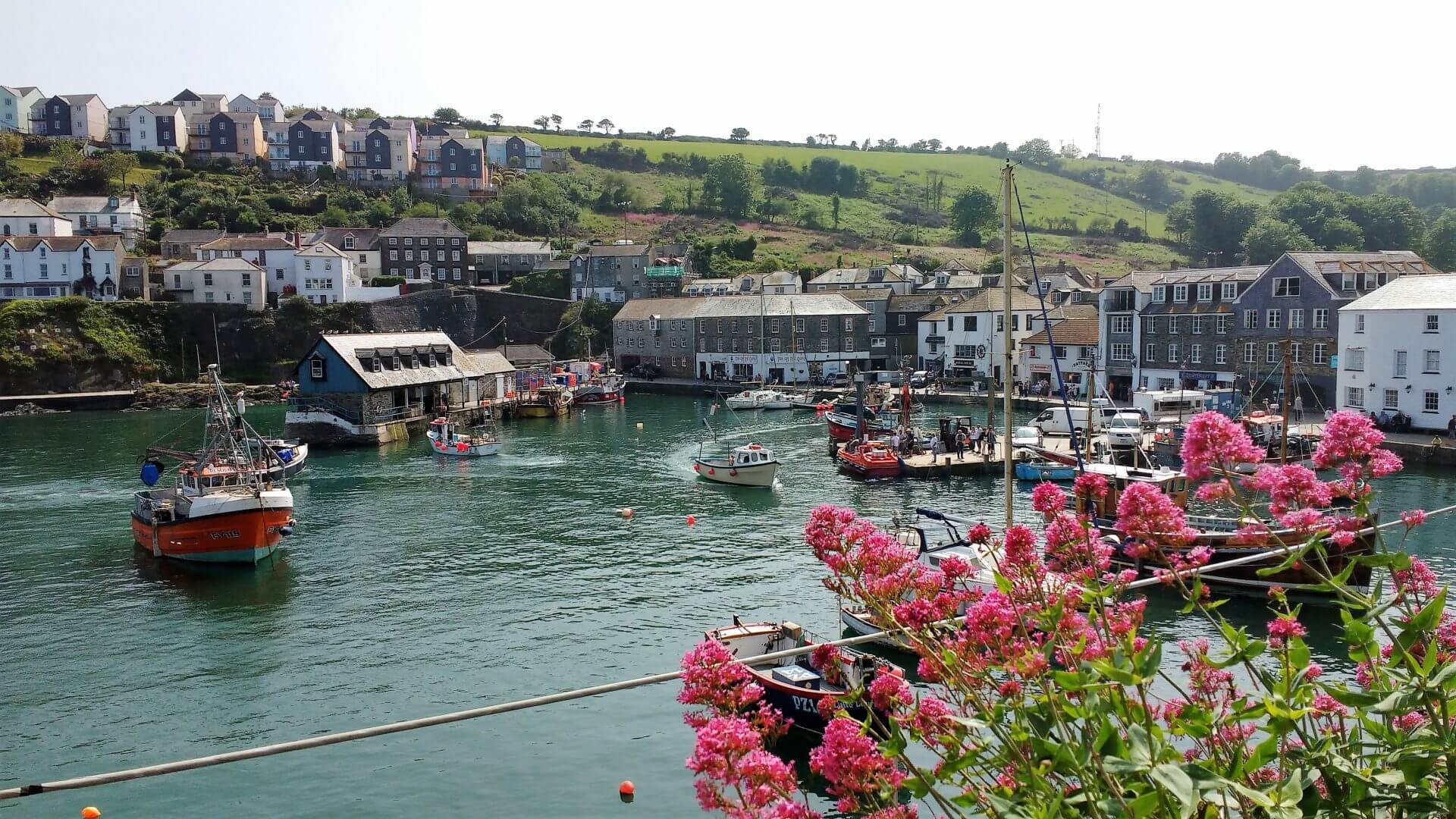 Edens Yard Backpackers - The Eden Project