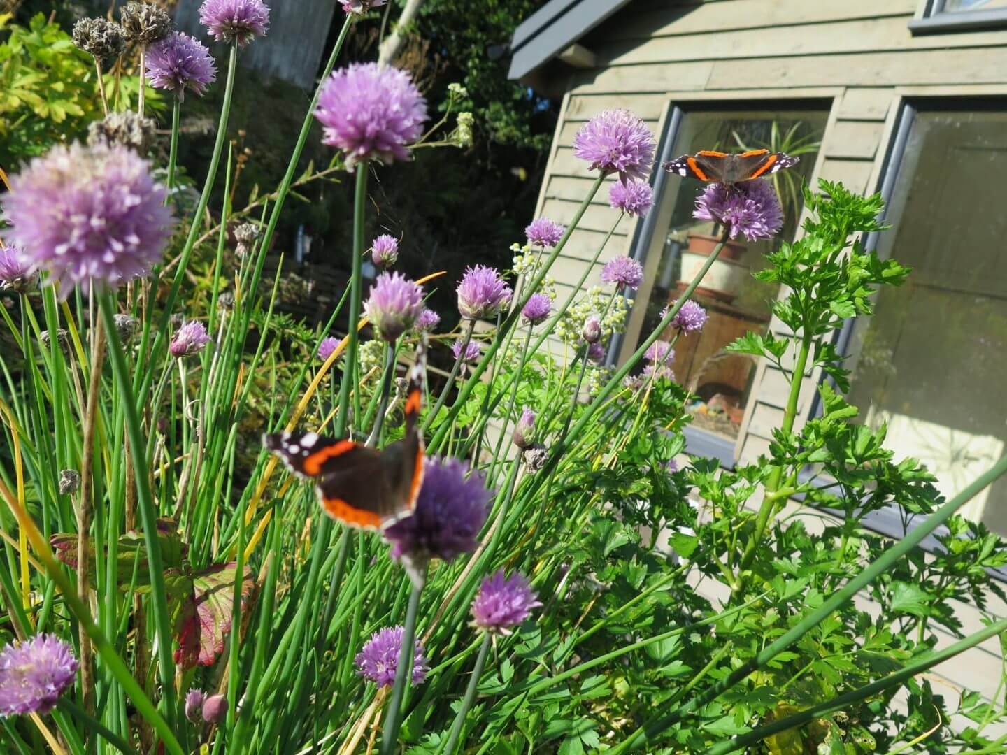 Ninebanks Youth Hostel - summer weekends