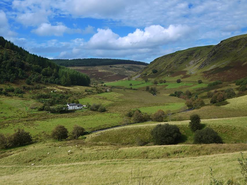 dolgoch hostel