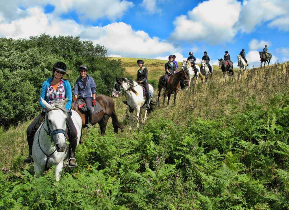 Springhill Farm - horse riding