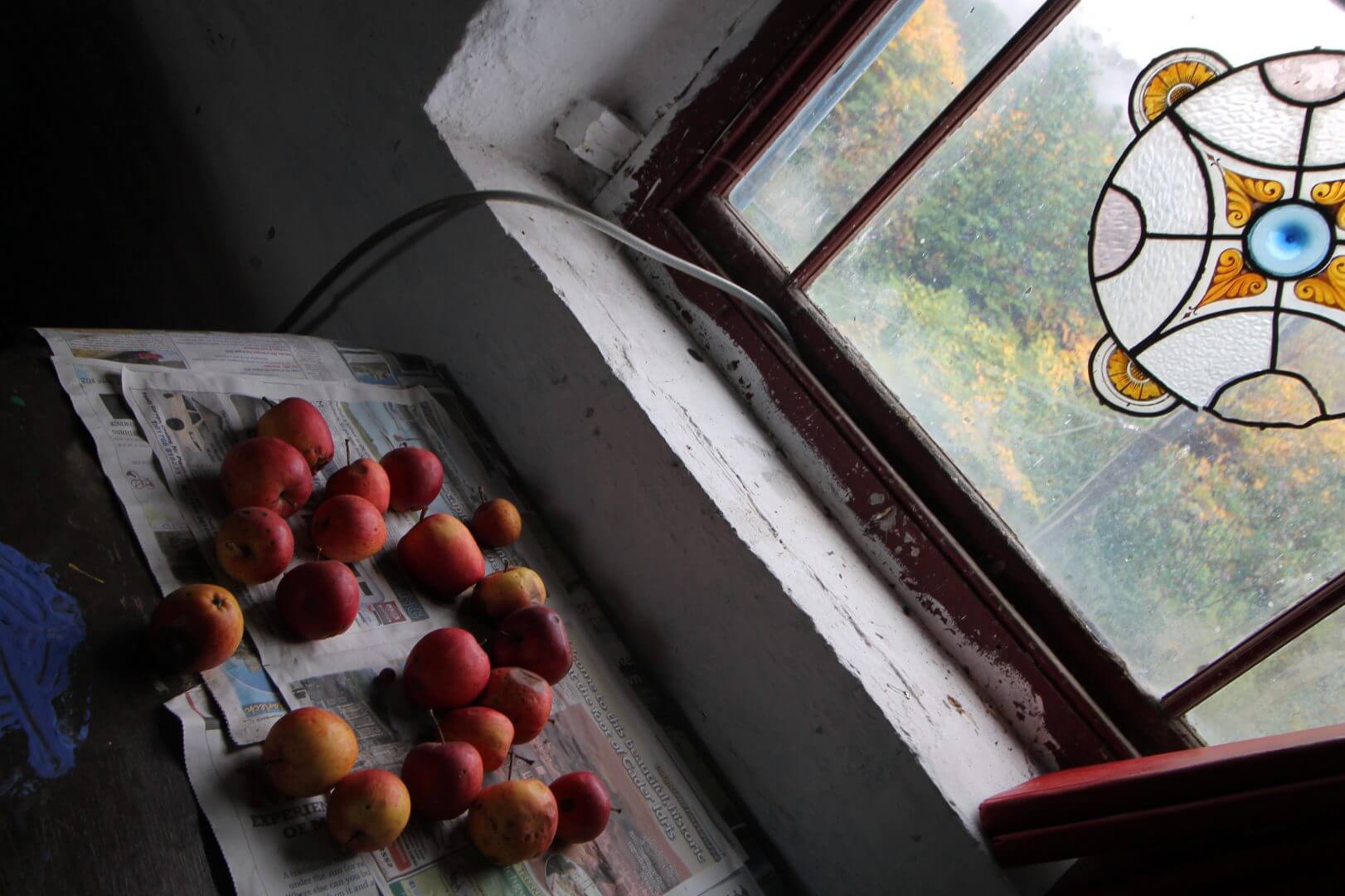 Toad Hall - self catering - dog friendly - hostel