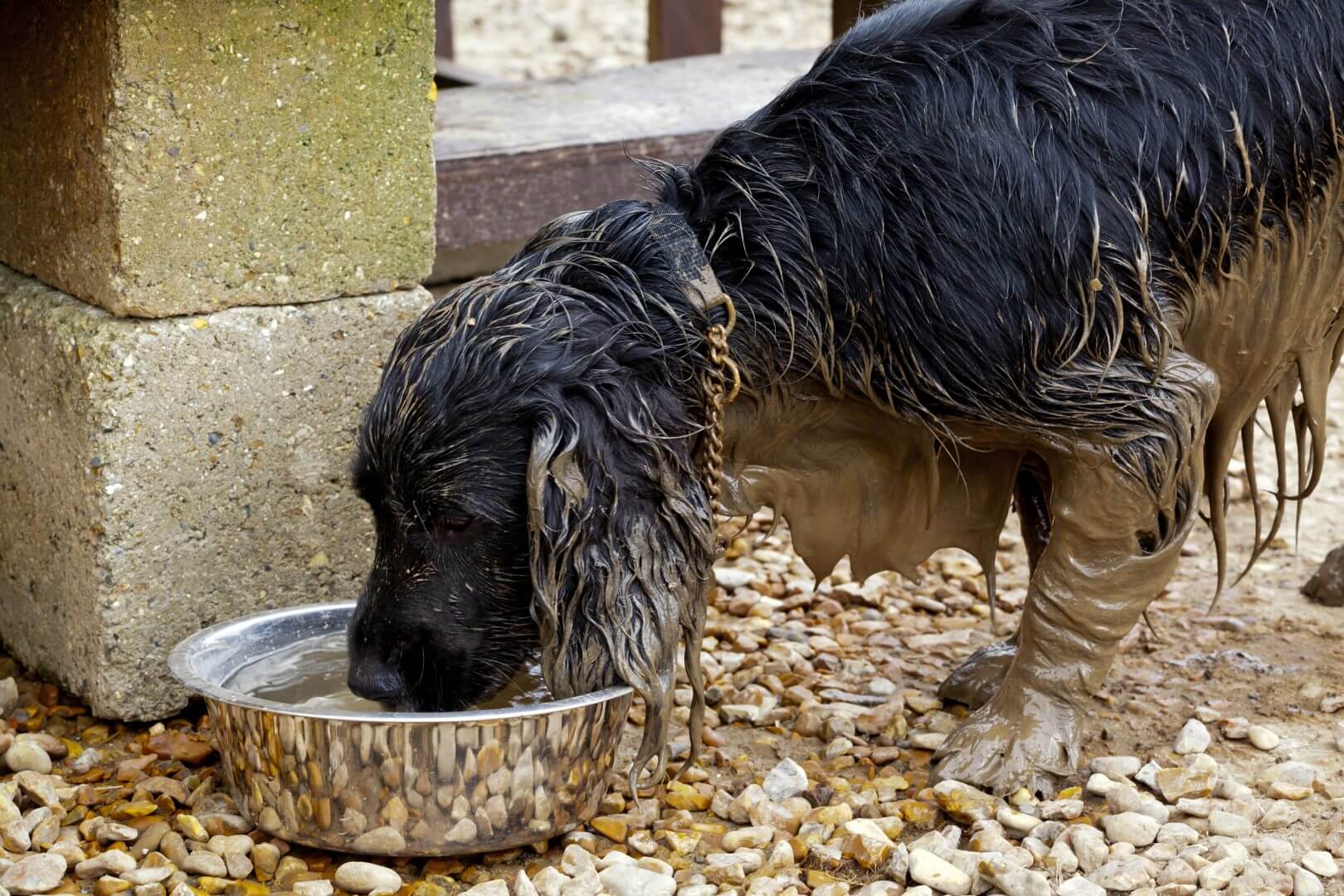 New Ing Lodge - dog friendly accommodation -