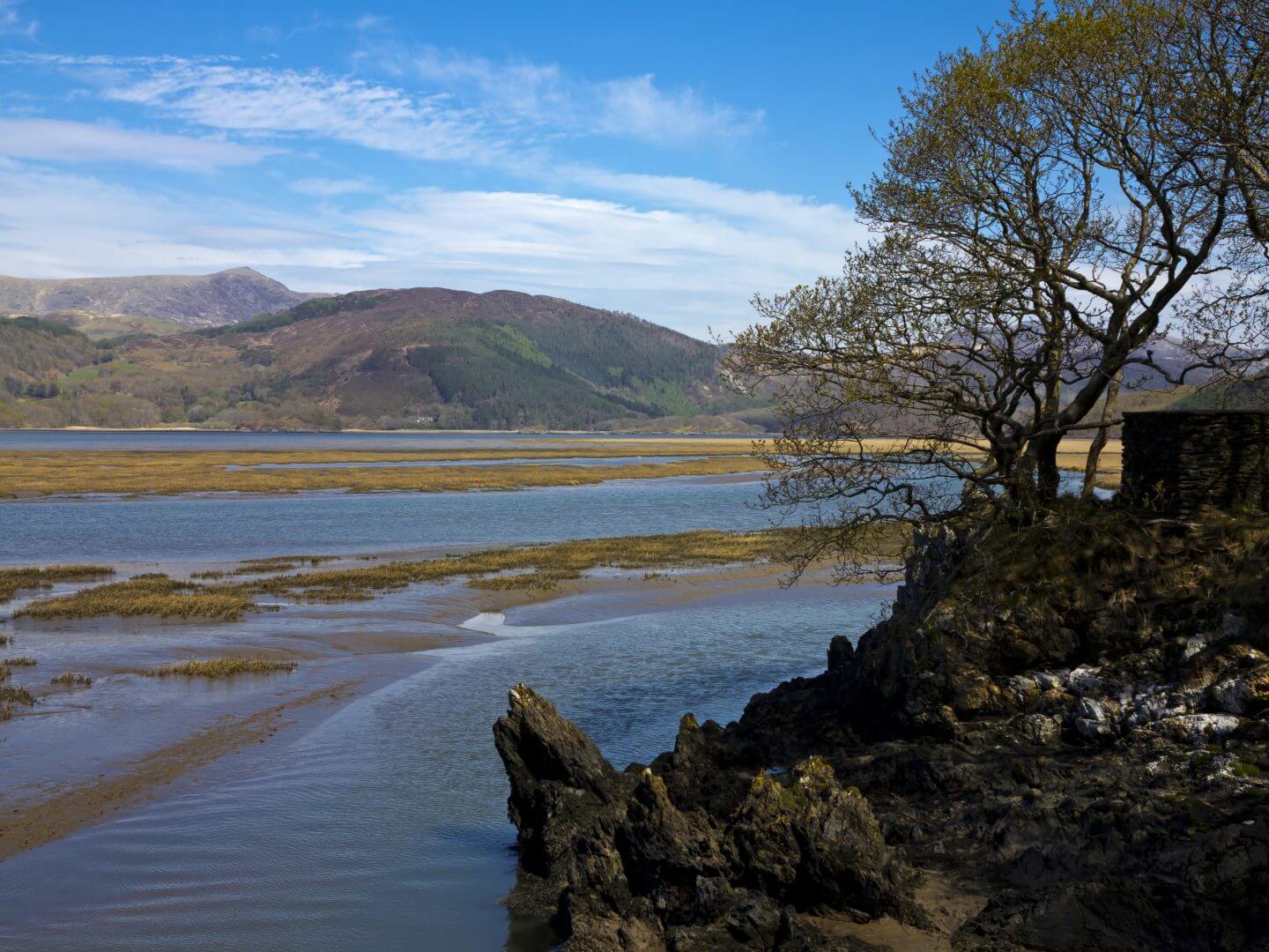Mawddach Estuary near Plas Isa