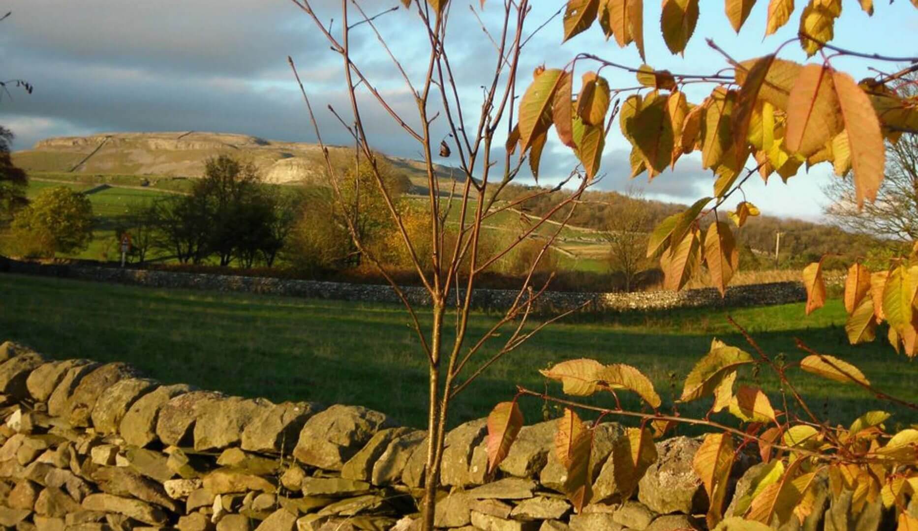 Dalesbridge Cabins and Camping
