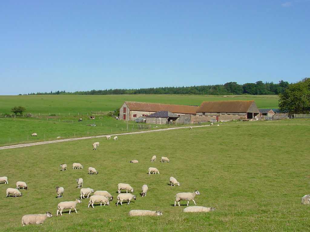 Gumber Bothy Bunkhouse -