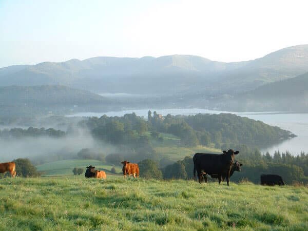 High Wray Basecamp - Lake Windermere - Ambleside - John Wilson