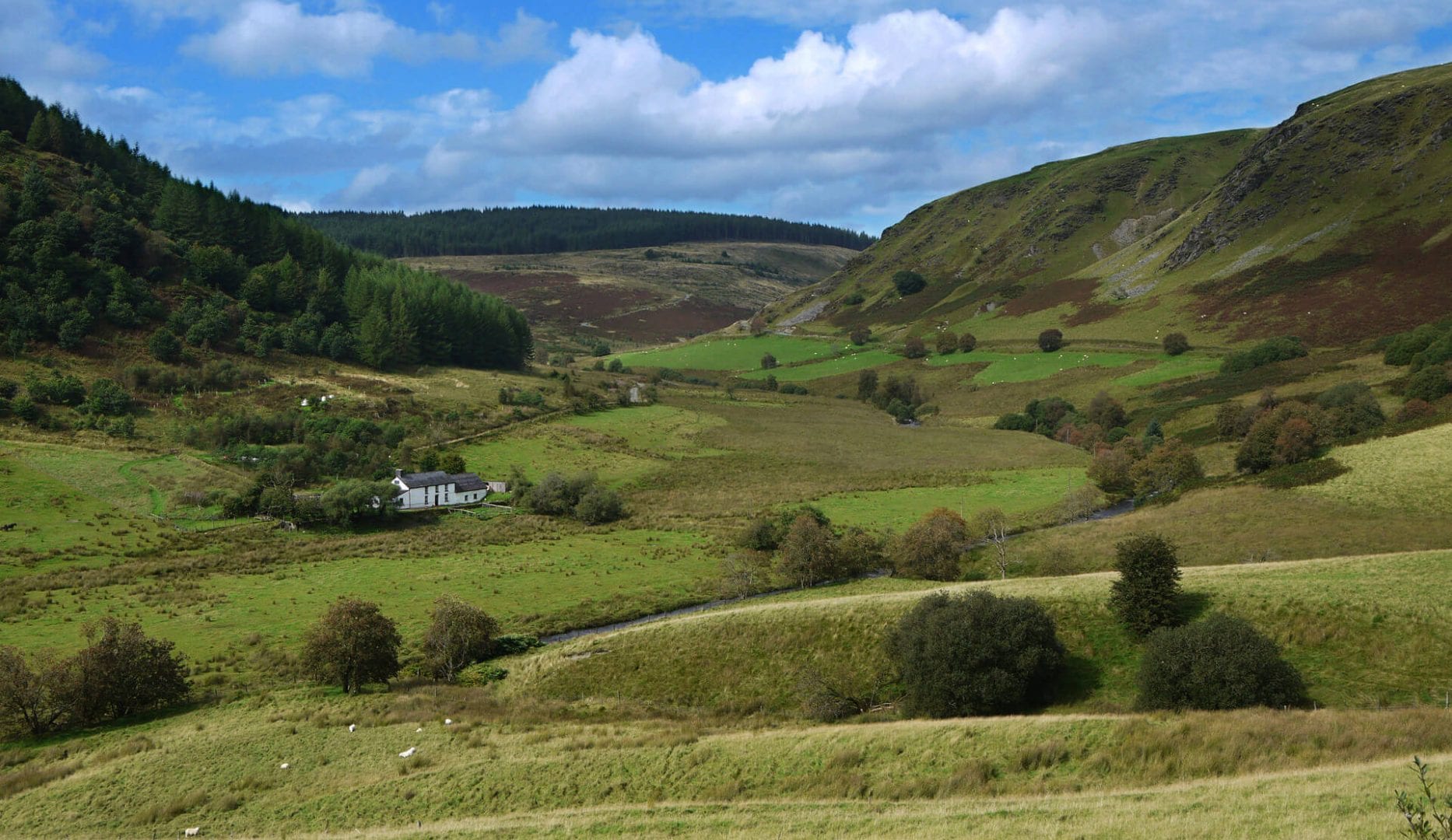 Dolgoch Hostel