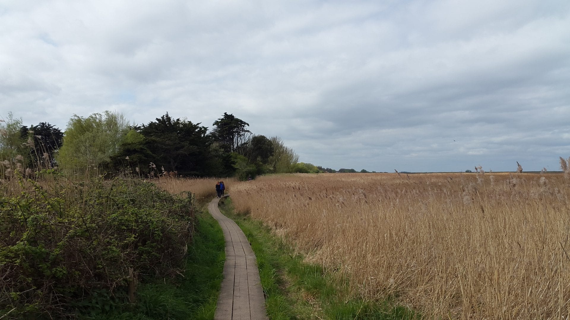 North Norfolk Coast near Deepdale