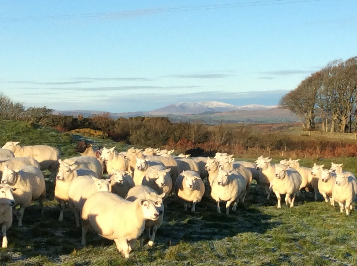 Castle Creavie Hay Barn Hostel - Dumfries and Galloway