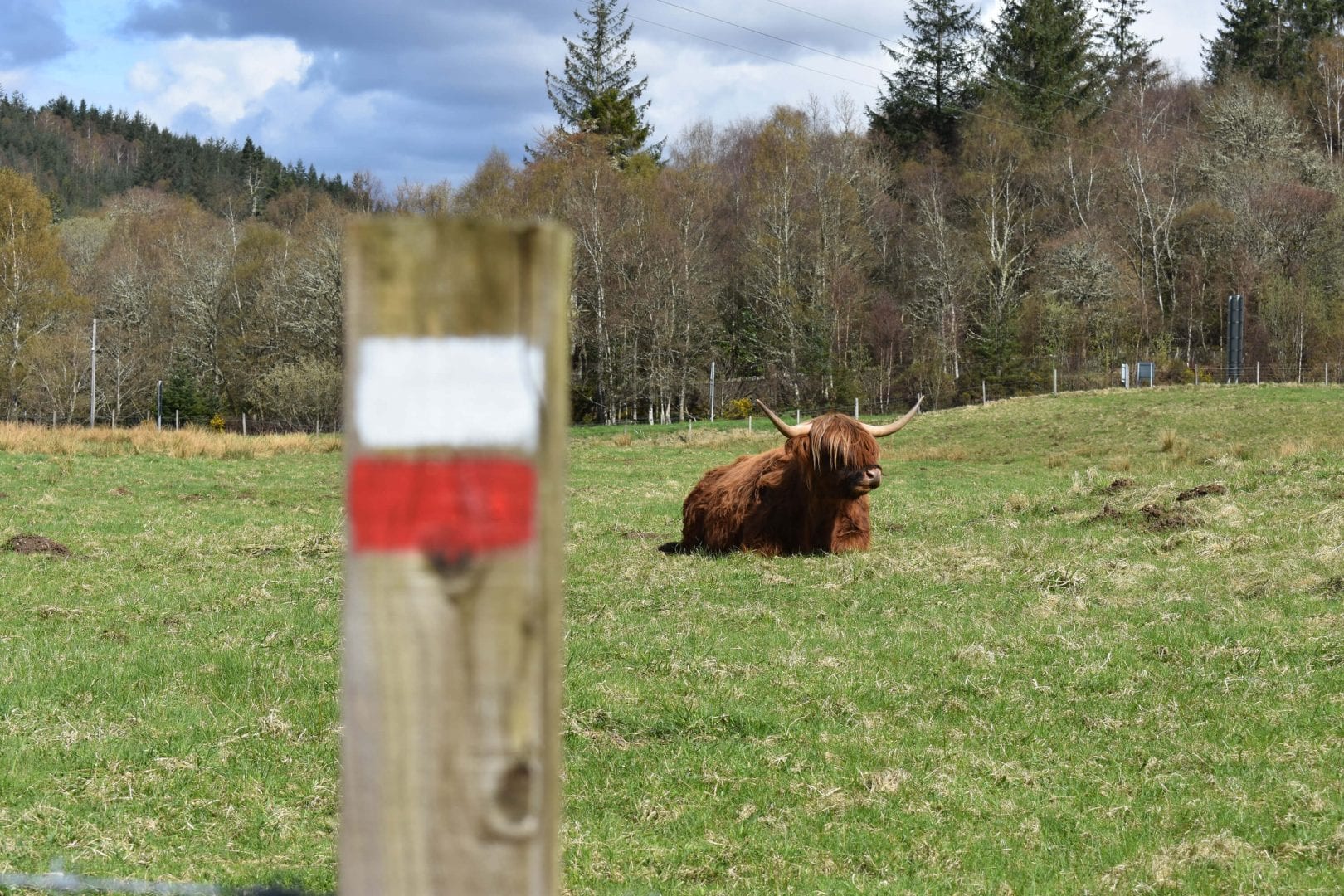 Saddle Mountain Hostel
