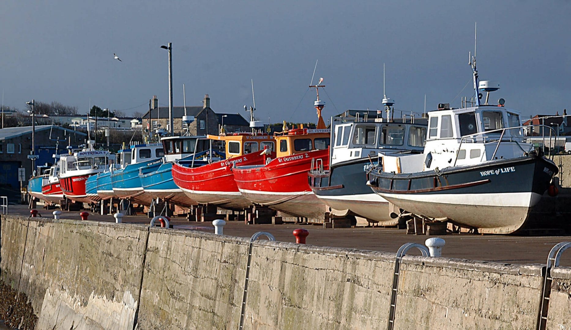 harbour at seahouses