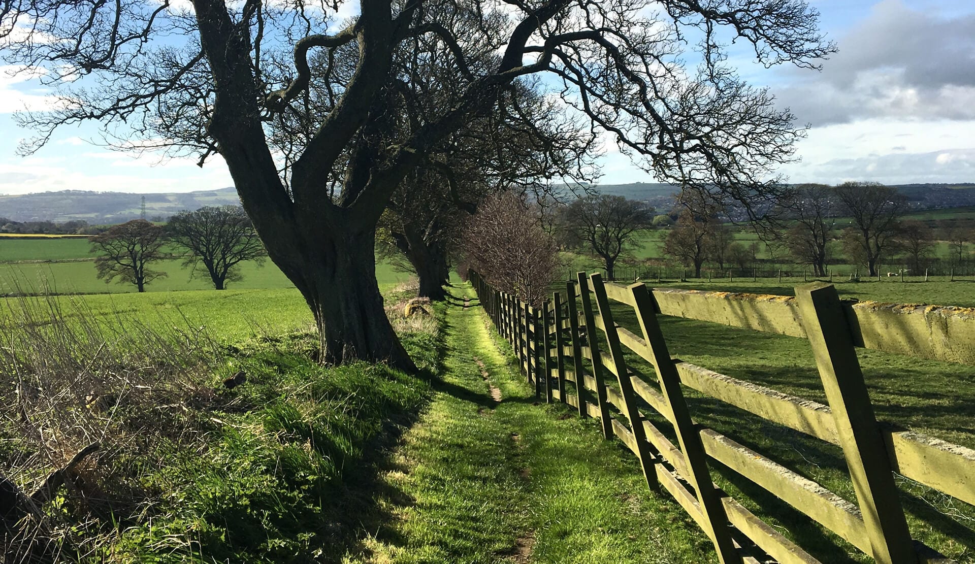 Houghton North Farm IHUK