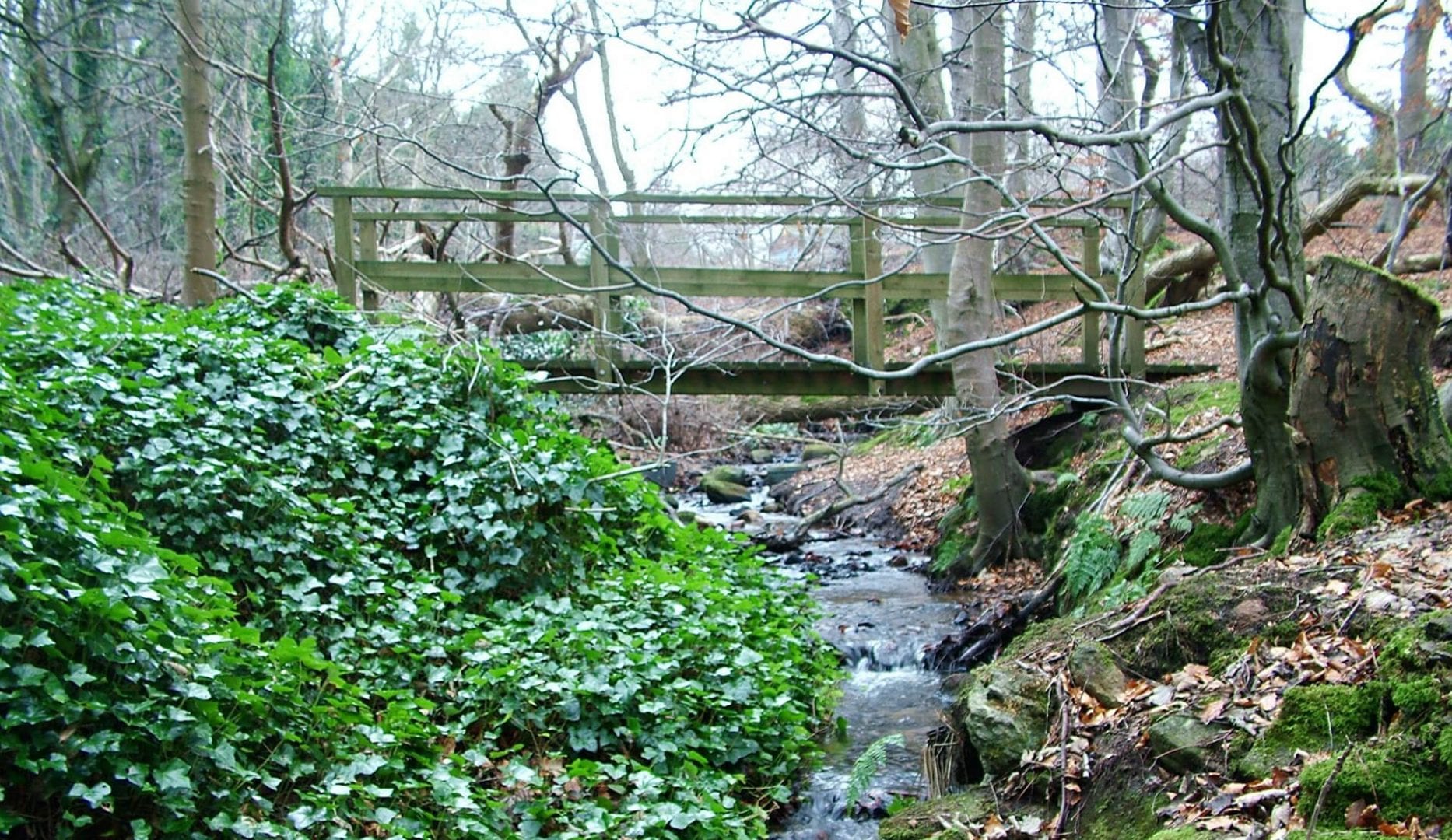 ccraibstone estate Eco woods