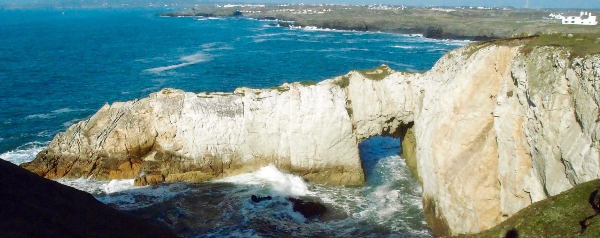 Outdoor Alternative - Swansea