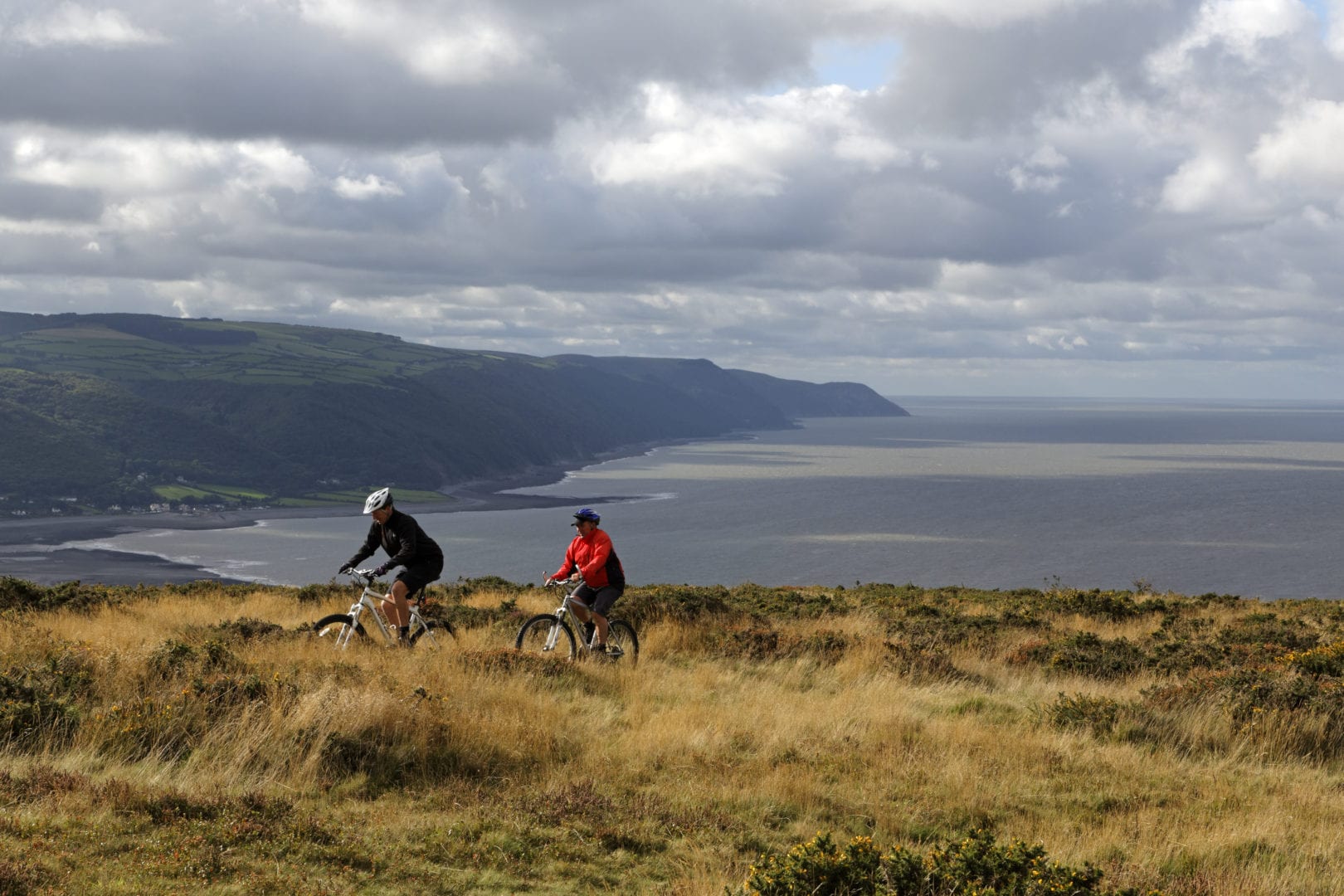 Mountain bikers Bossington Hill above Porlock Bay, on the Holnicote Estate, Exmoor National Park, Somerset.