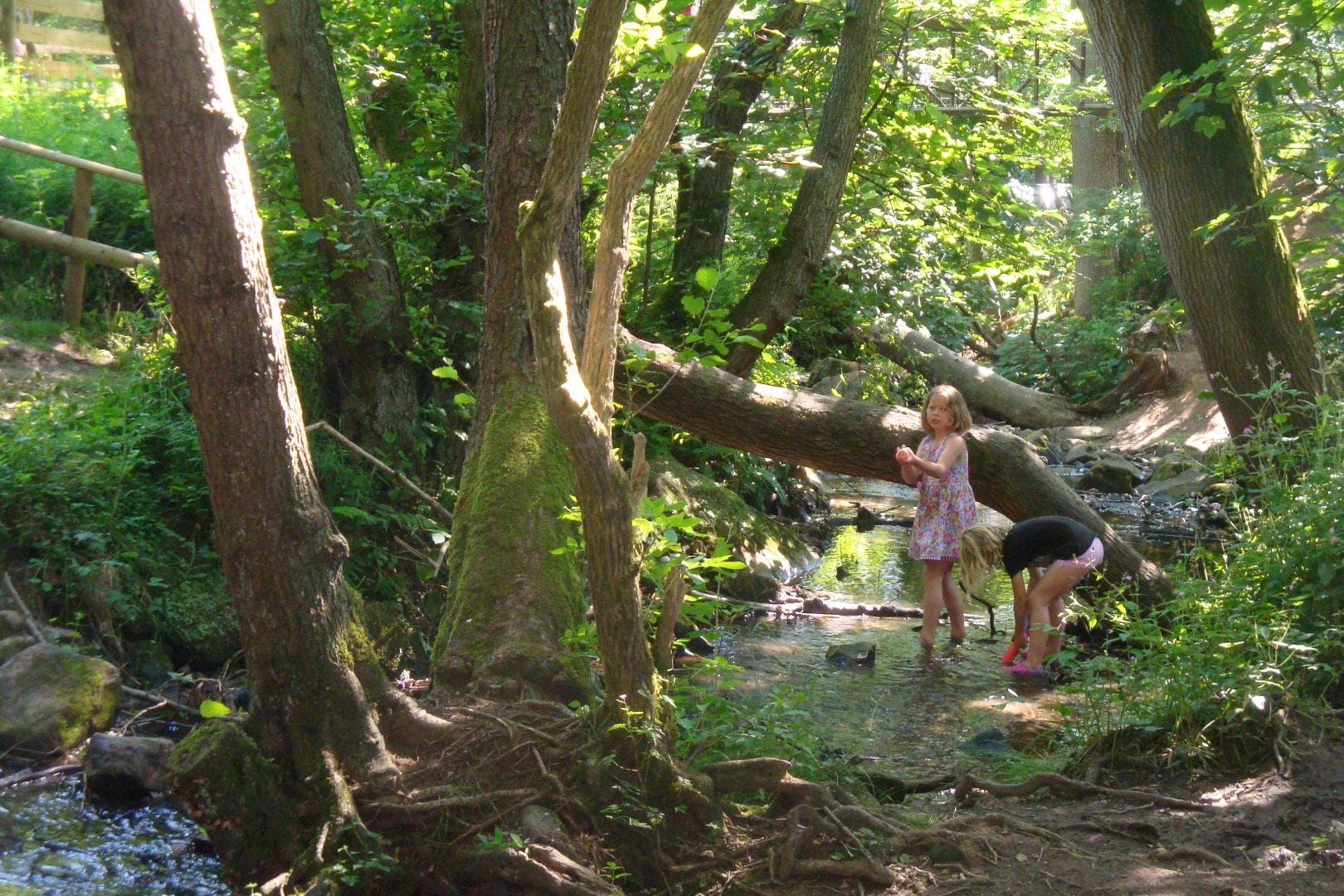 family breaks in Yorkshire at Osmotherly youth hostel