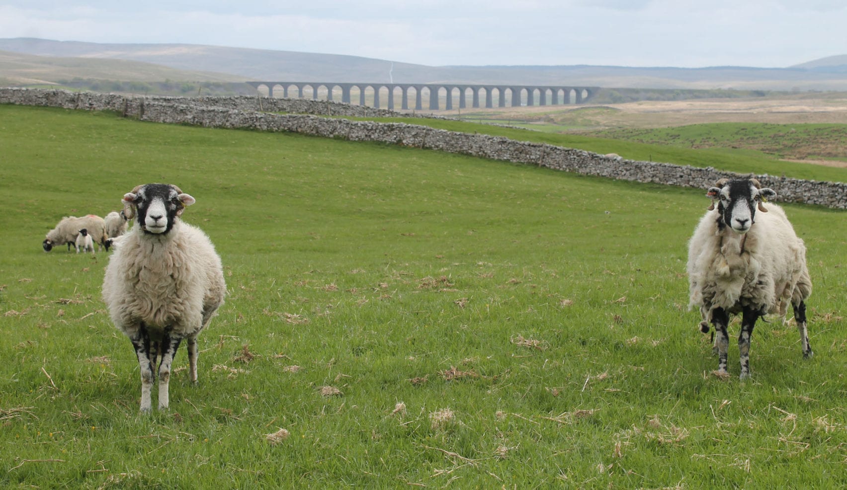 Plenty of midweek availability on the Yorkshire Three Peaks Challenge