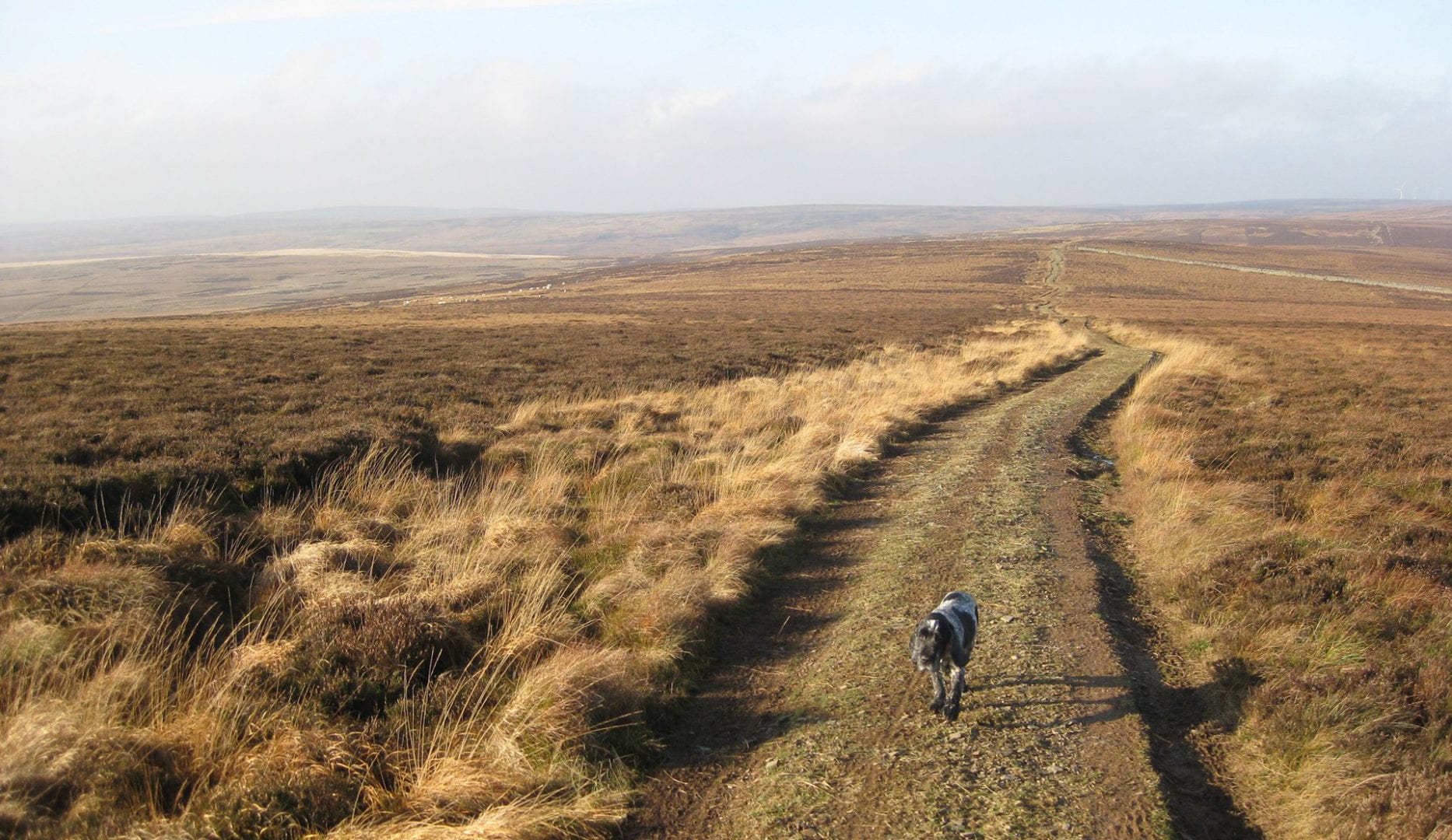 Southern upland way near Cleikum Mill lodge