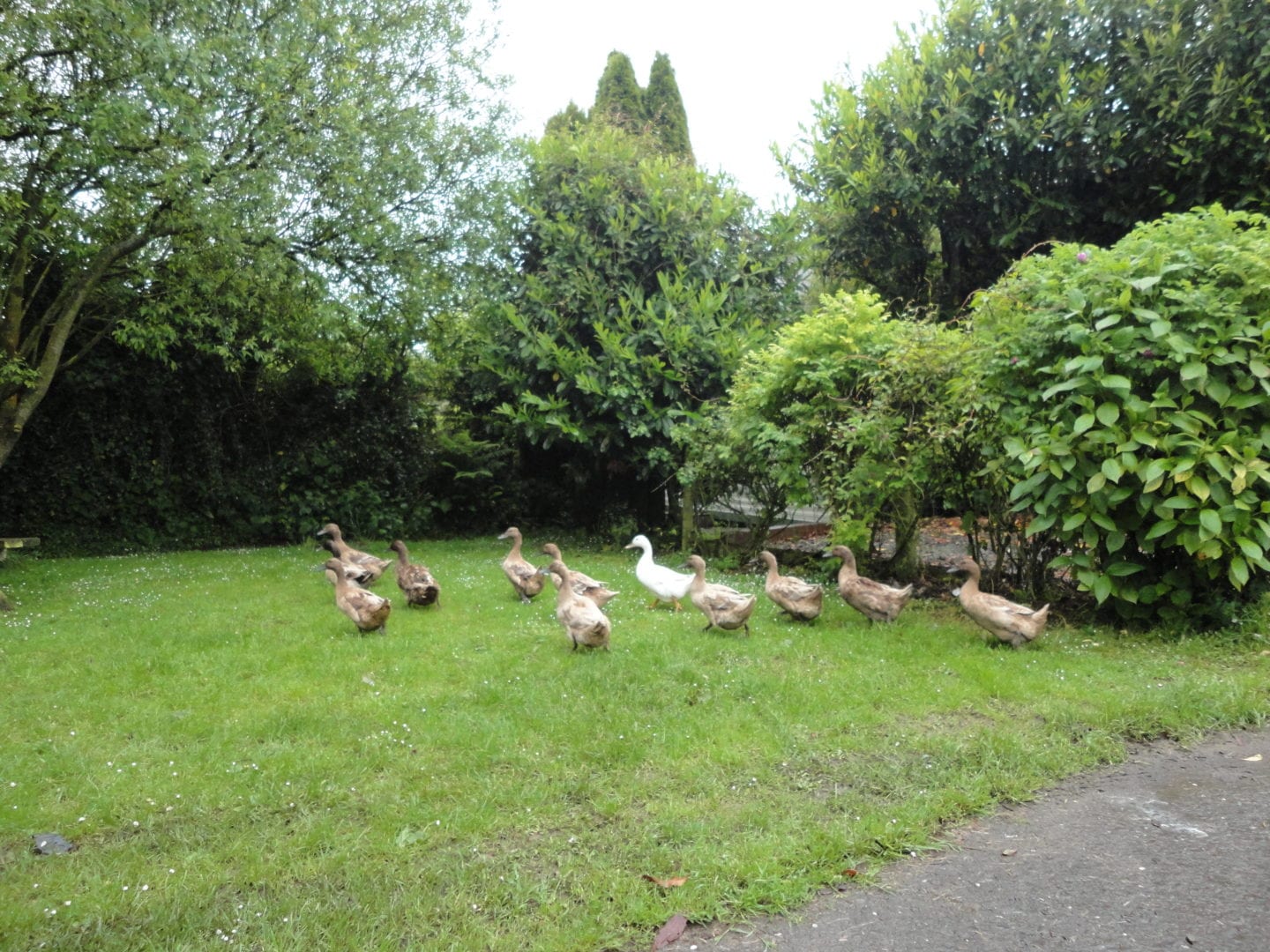 Mullacott Farm Camping Barn