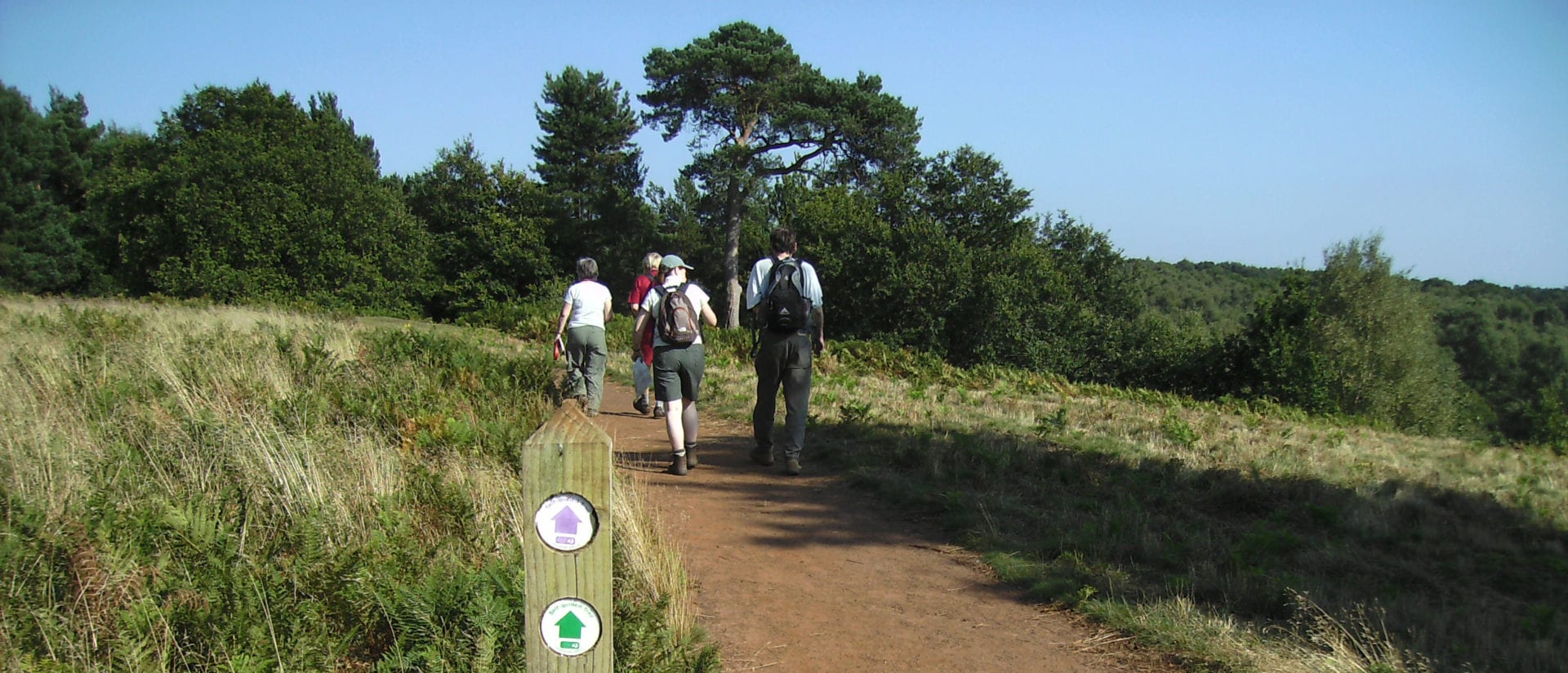 Walking from Puttenham Eco Camping Barn