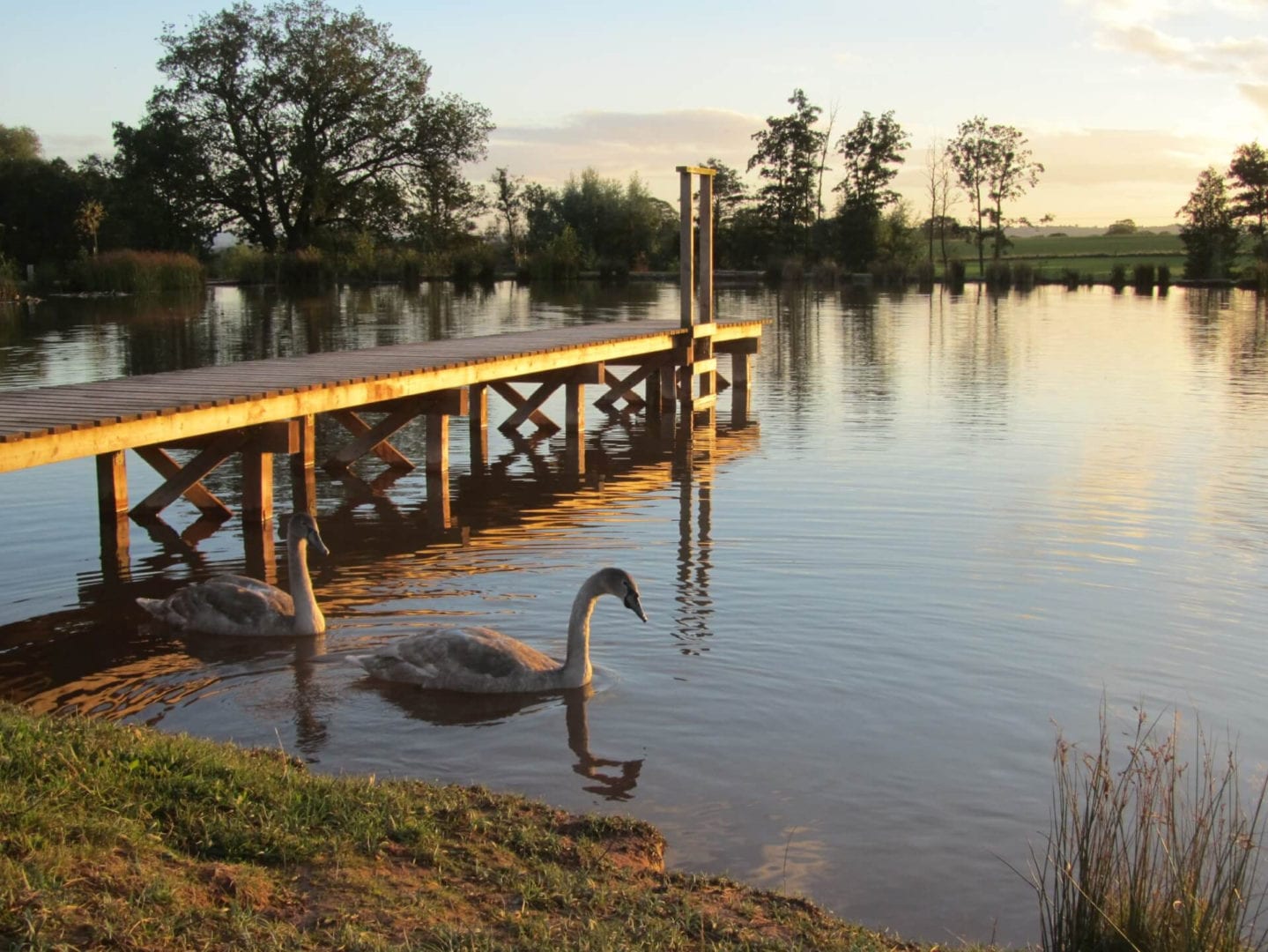 Woodside Lodges Bunkhouse
