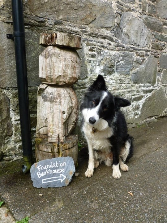 Dog at Knoydart Bunkhouse