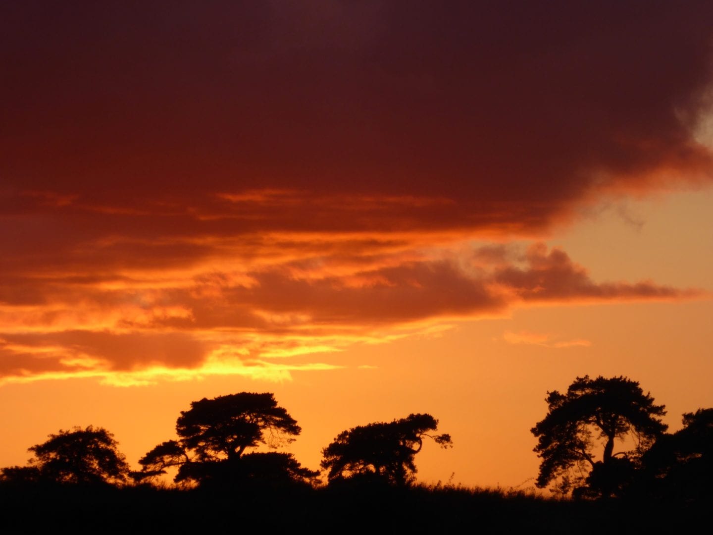 Aberdaron Farm Bunkhouse - Edge Of Wales Walk
