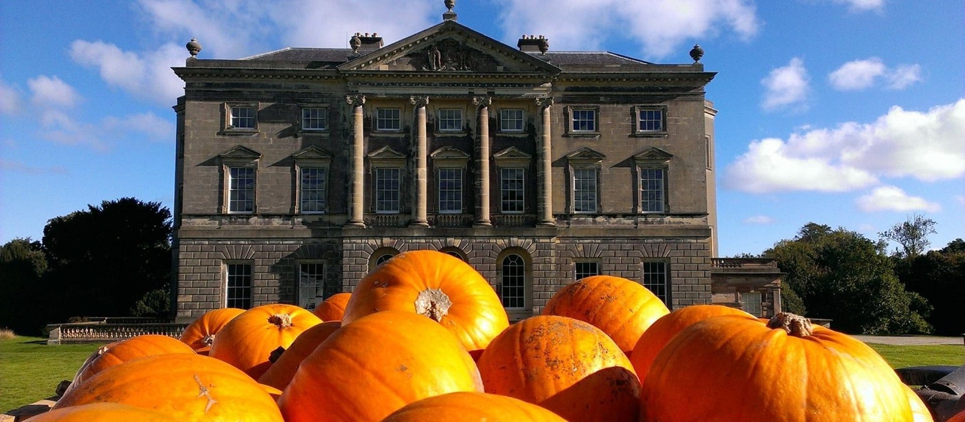 pumpkin festival at castle ward