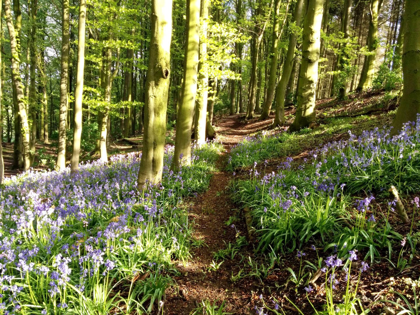 Thornbridge at Easter