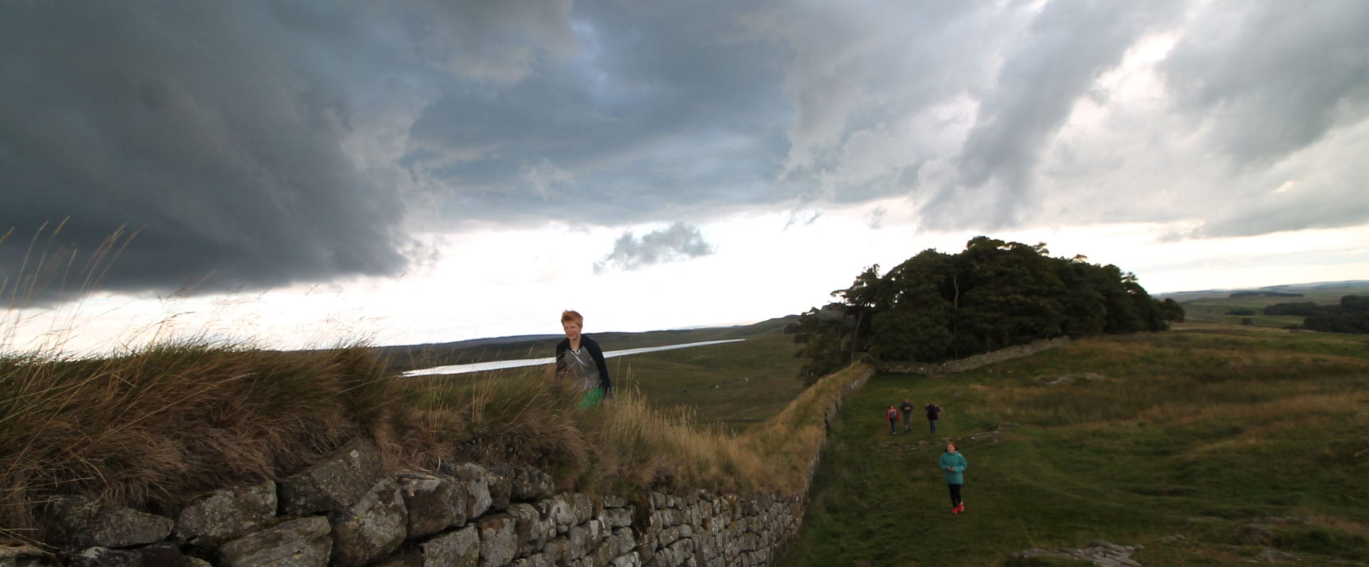 Roman Wall, Gibbs Farm