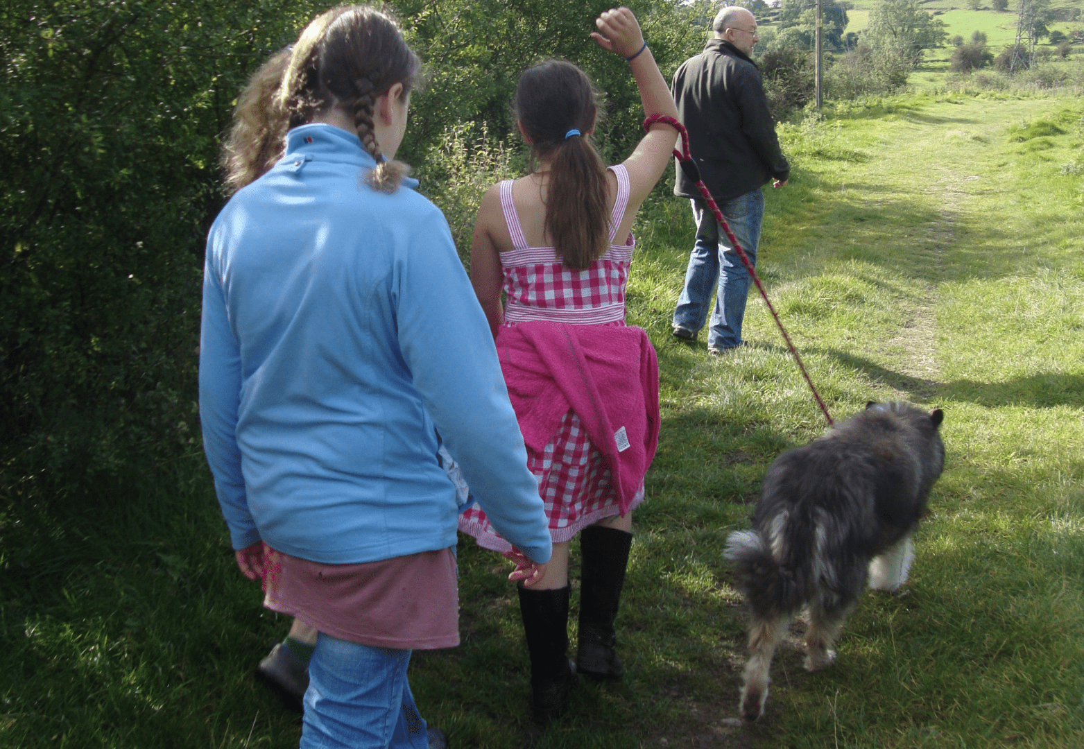 Dog walking in Peak District