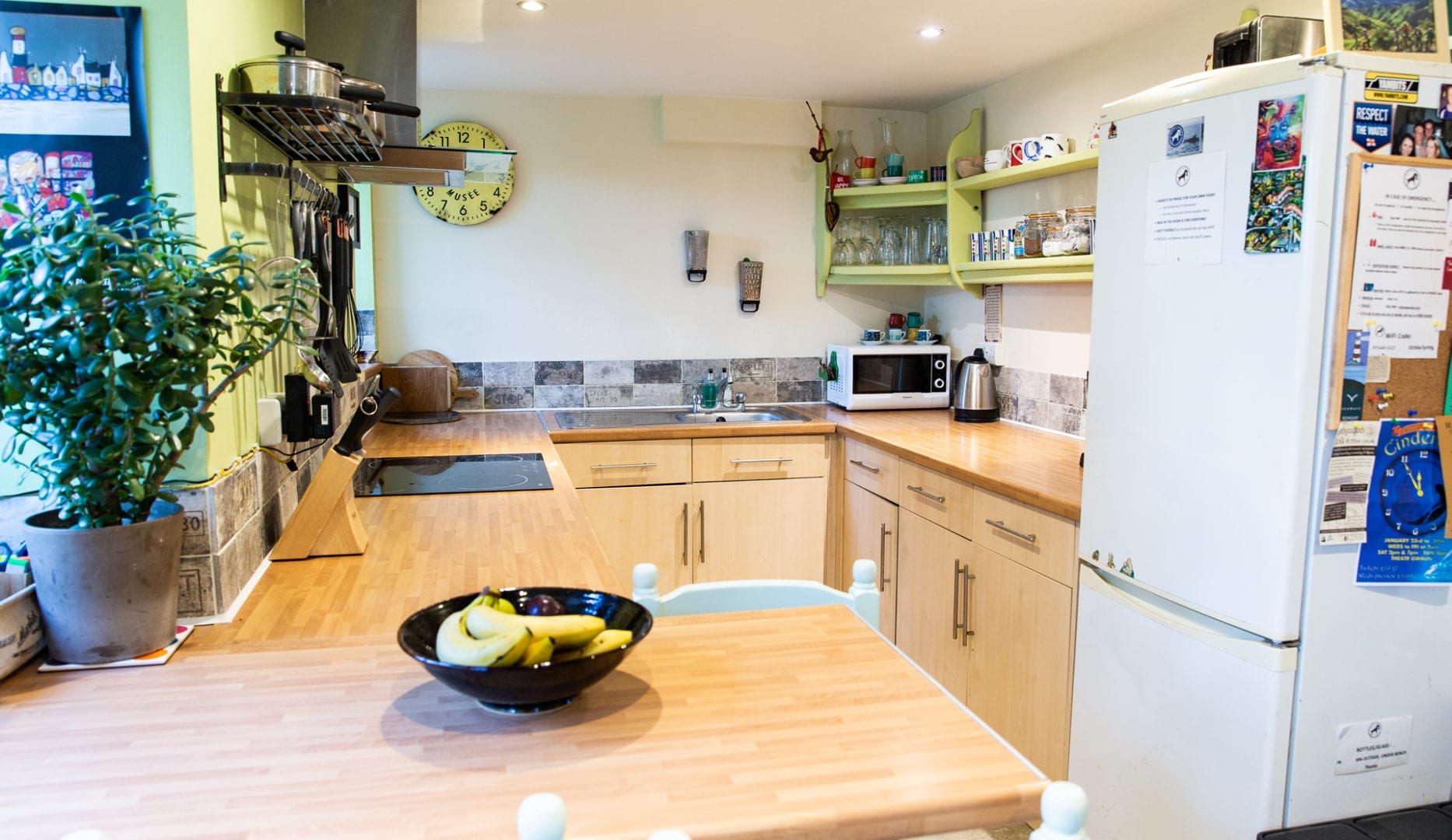 Kitchen Hamilton Backpackers