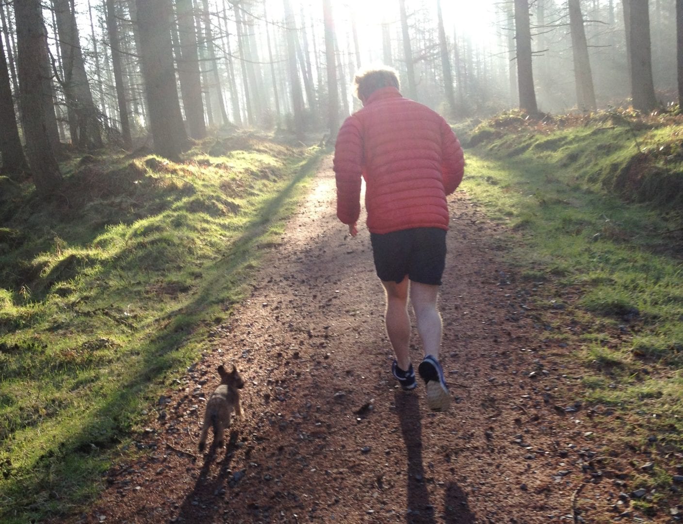 Dog running at Marthrown of Mabie