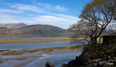 isolated estuary