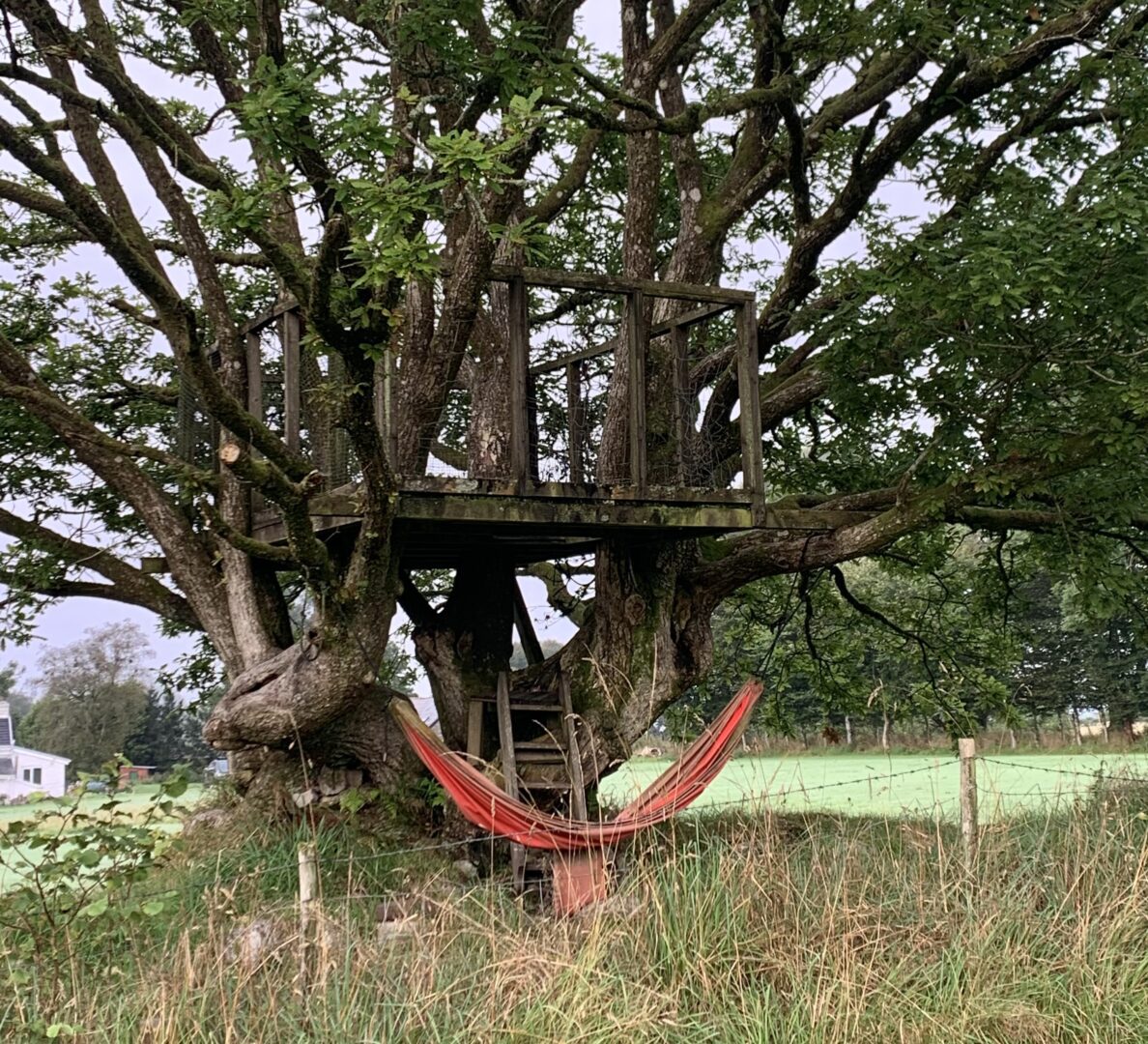 Teehouse-Hammock at Clyngwyn Bunkhouse