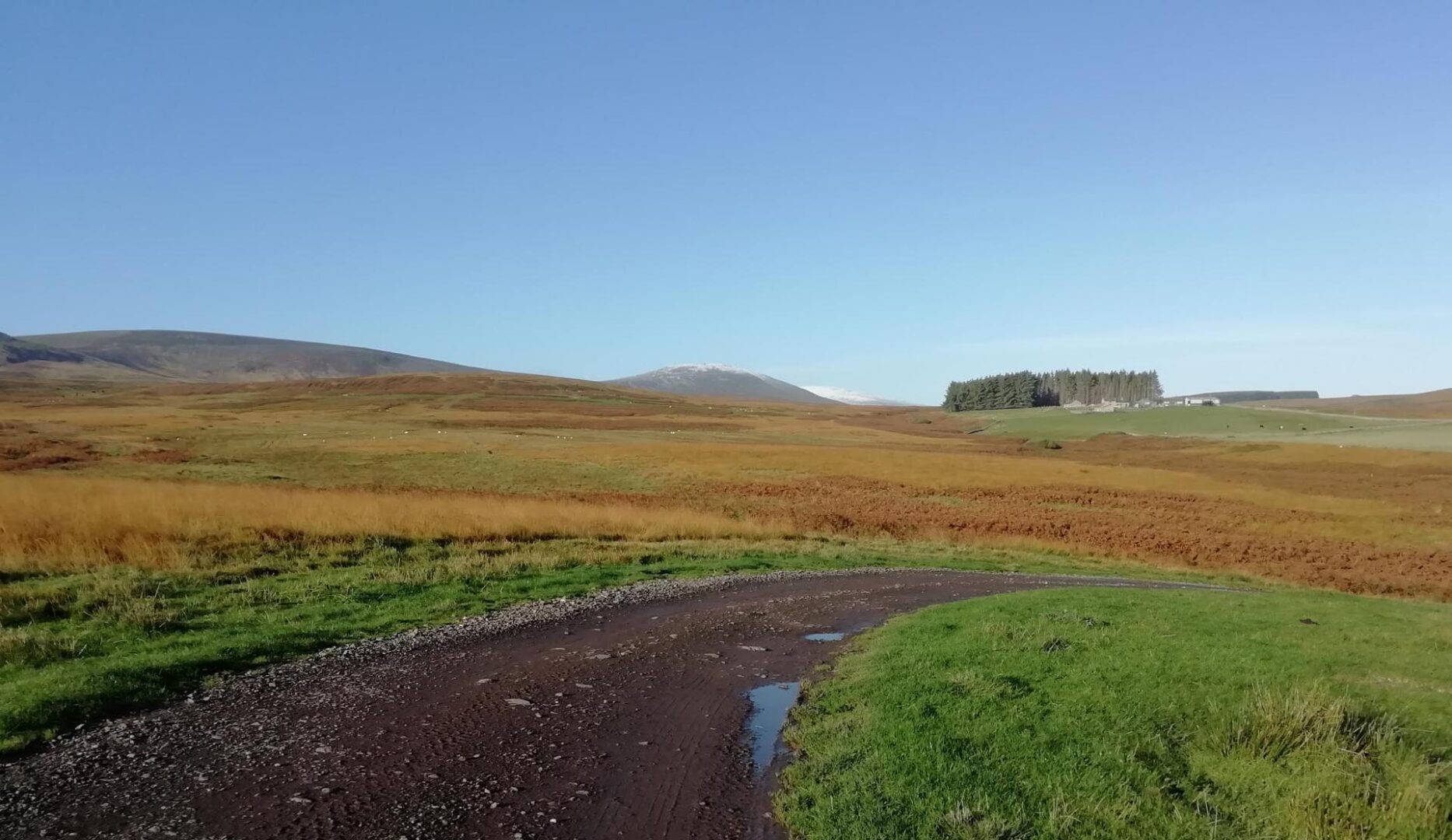 Landsacpe view of track leading to hills and distant farm